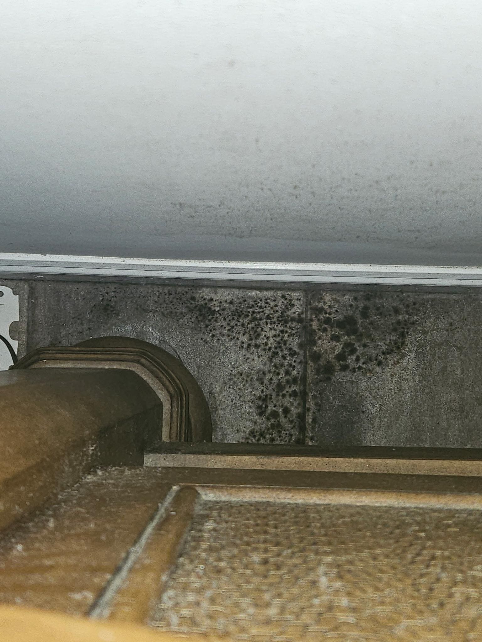 Mold behind bed.