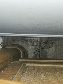 Mold behind bed.