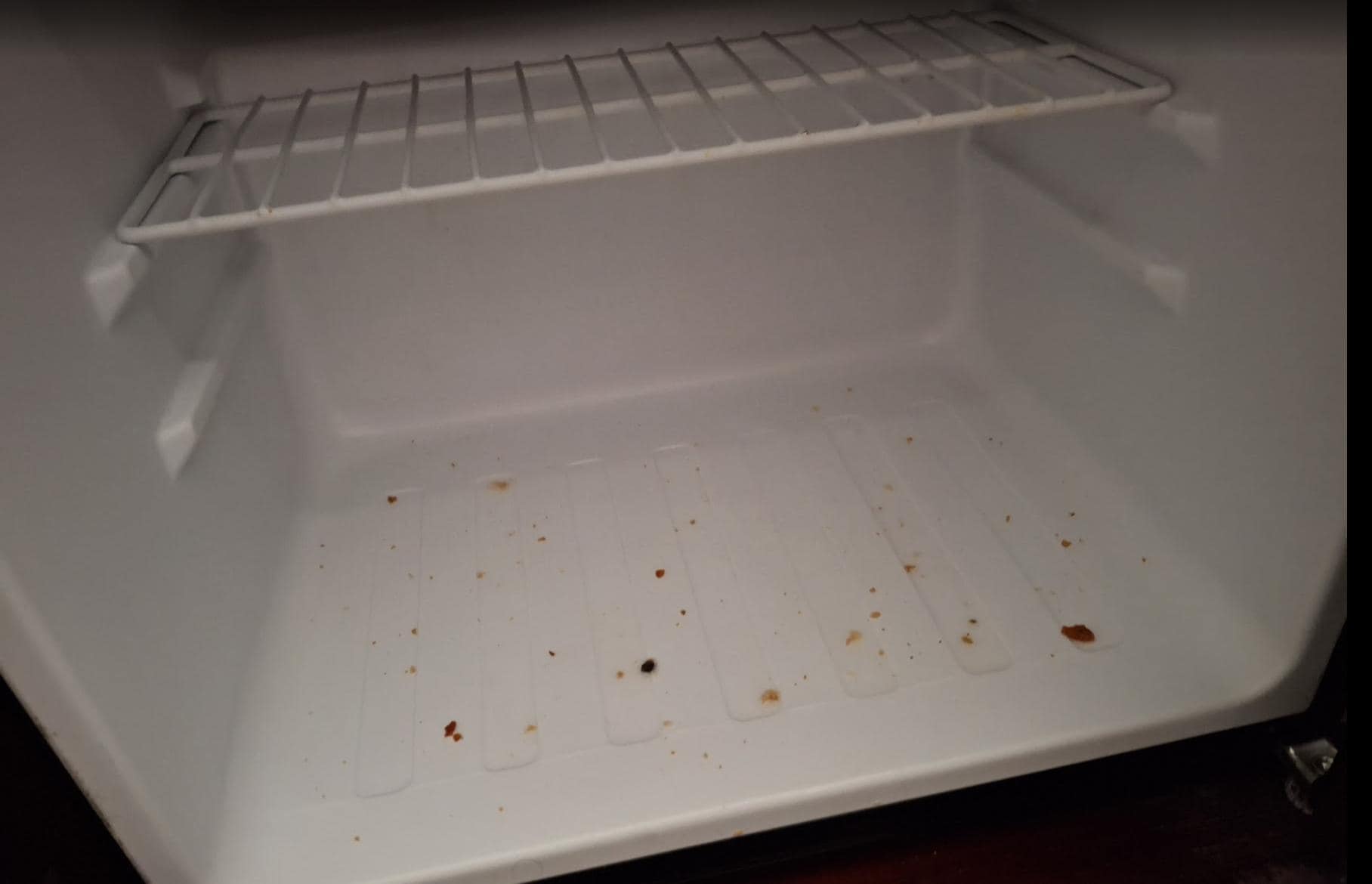 refrigerator