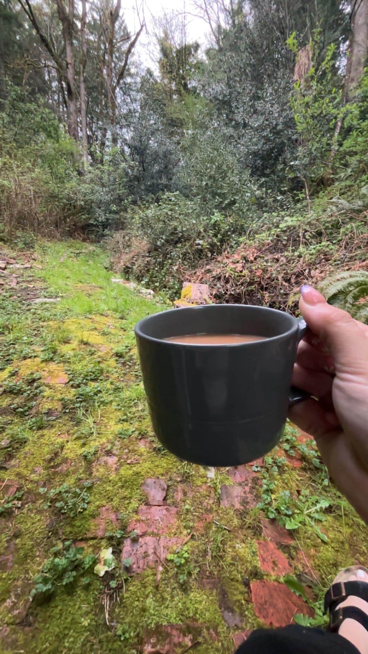 Enjoyed my coffee out here like I was in a storybook… no fairy sightings (yet).