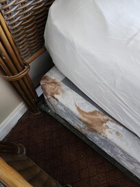 Blood on bed
