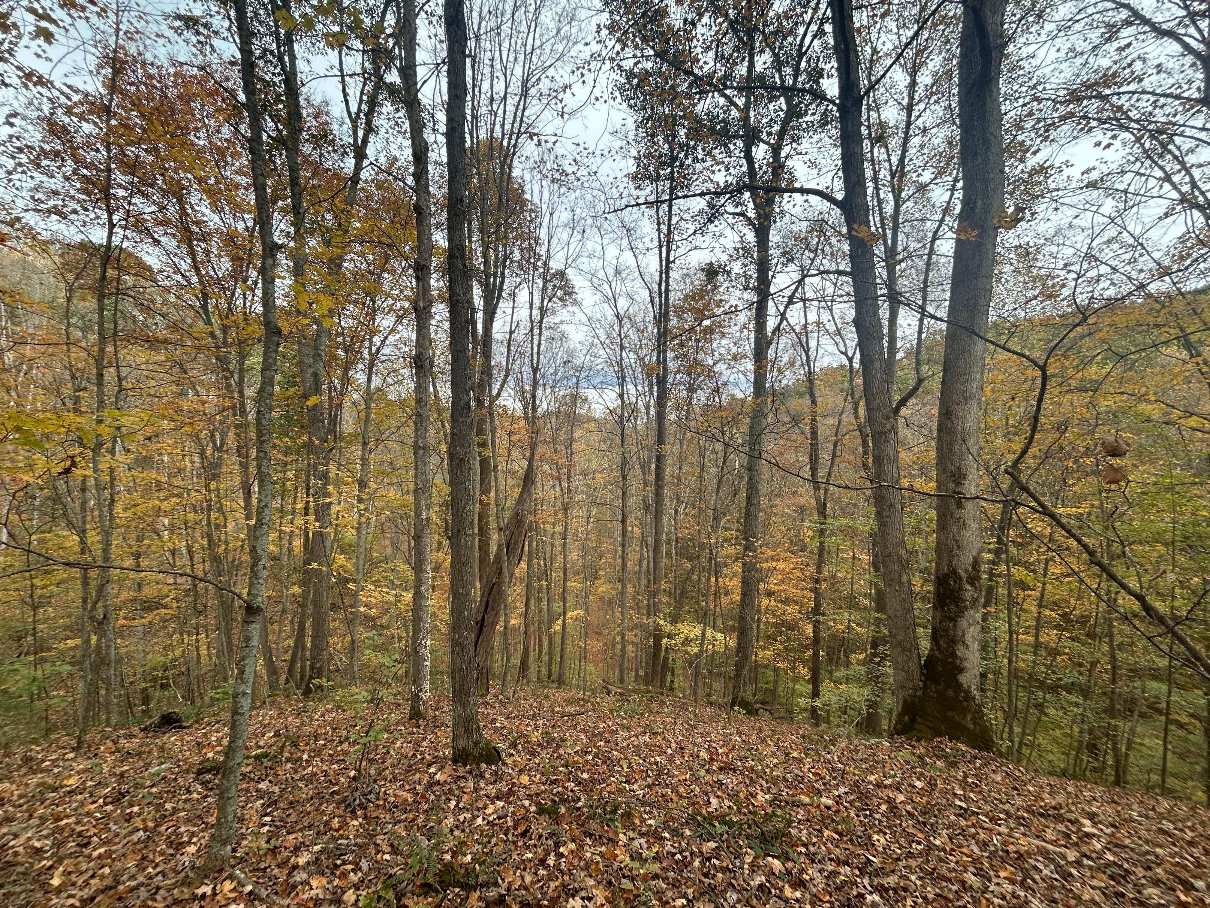 Beautiful surroundings 
