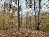 Beautiful surroundings