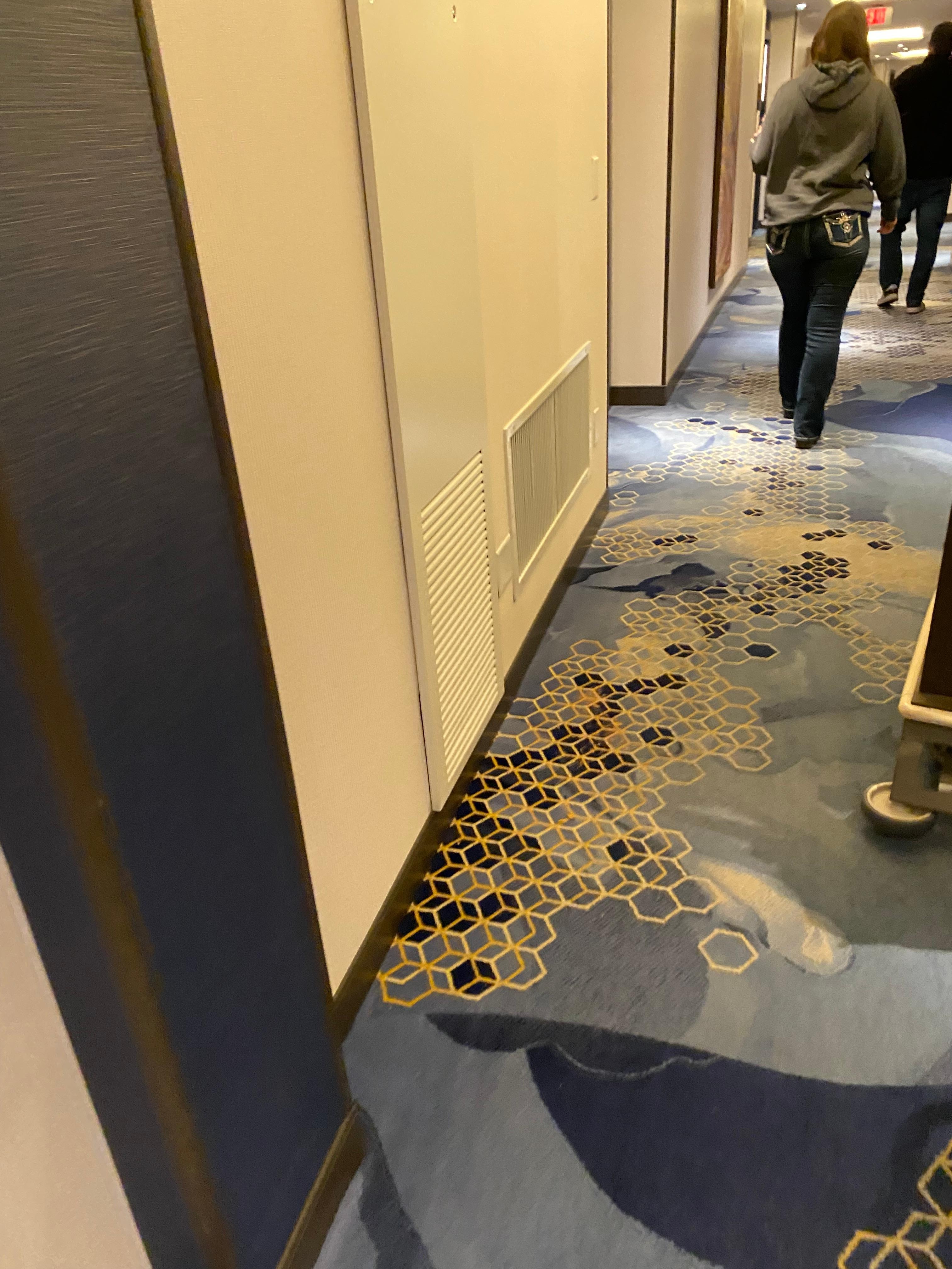 My daughter just jumped over the vomit in the hallway on floor 33.  I have video but it won’t let me post it.  