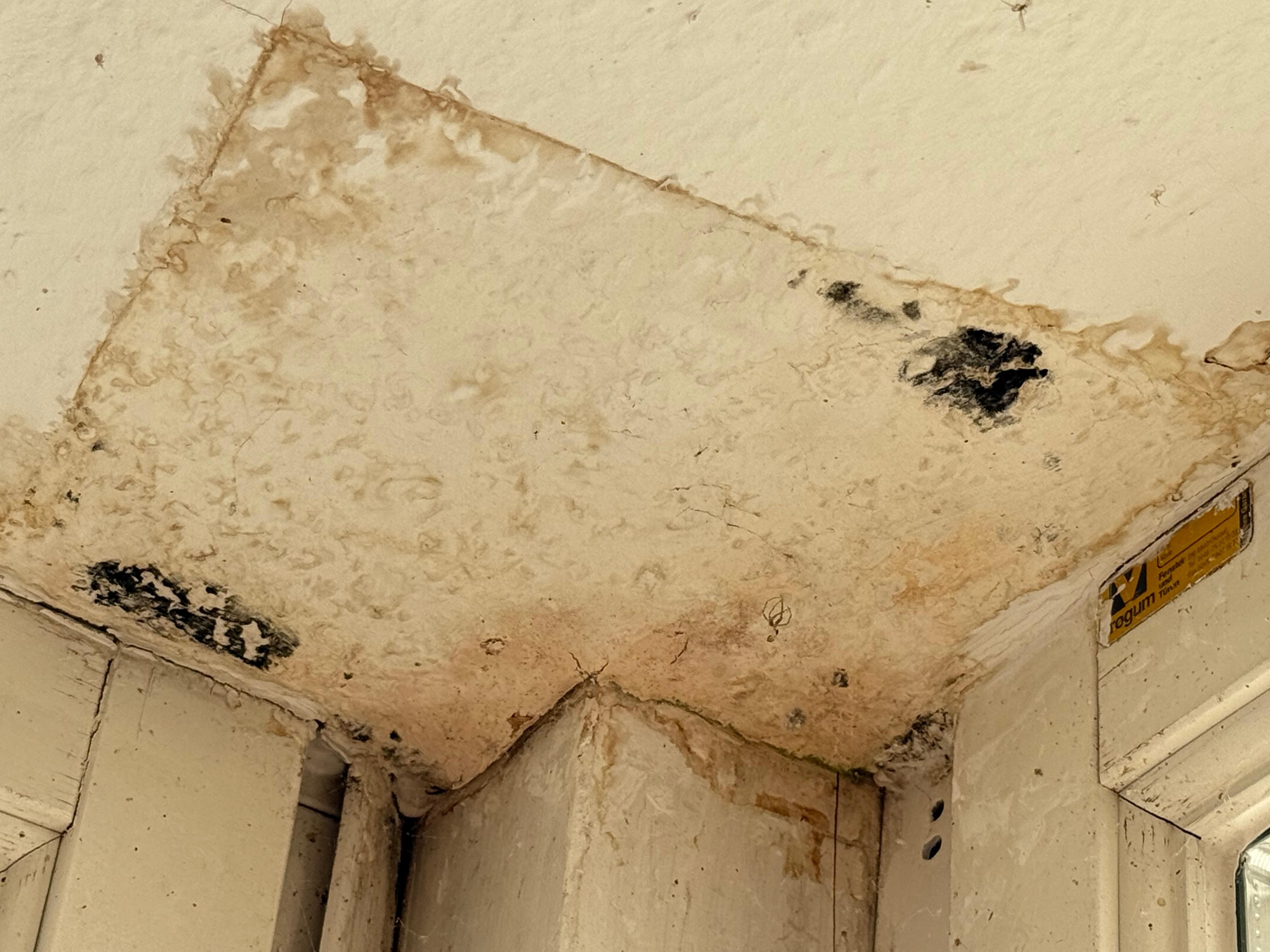 Decke im Wintergarten