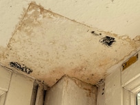 Decke im Wintergarten