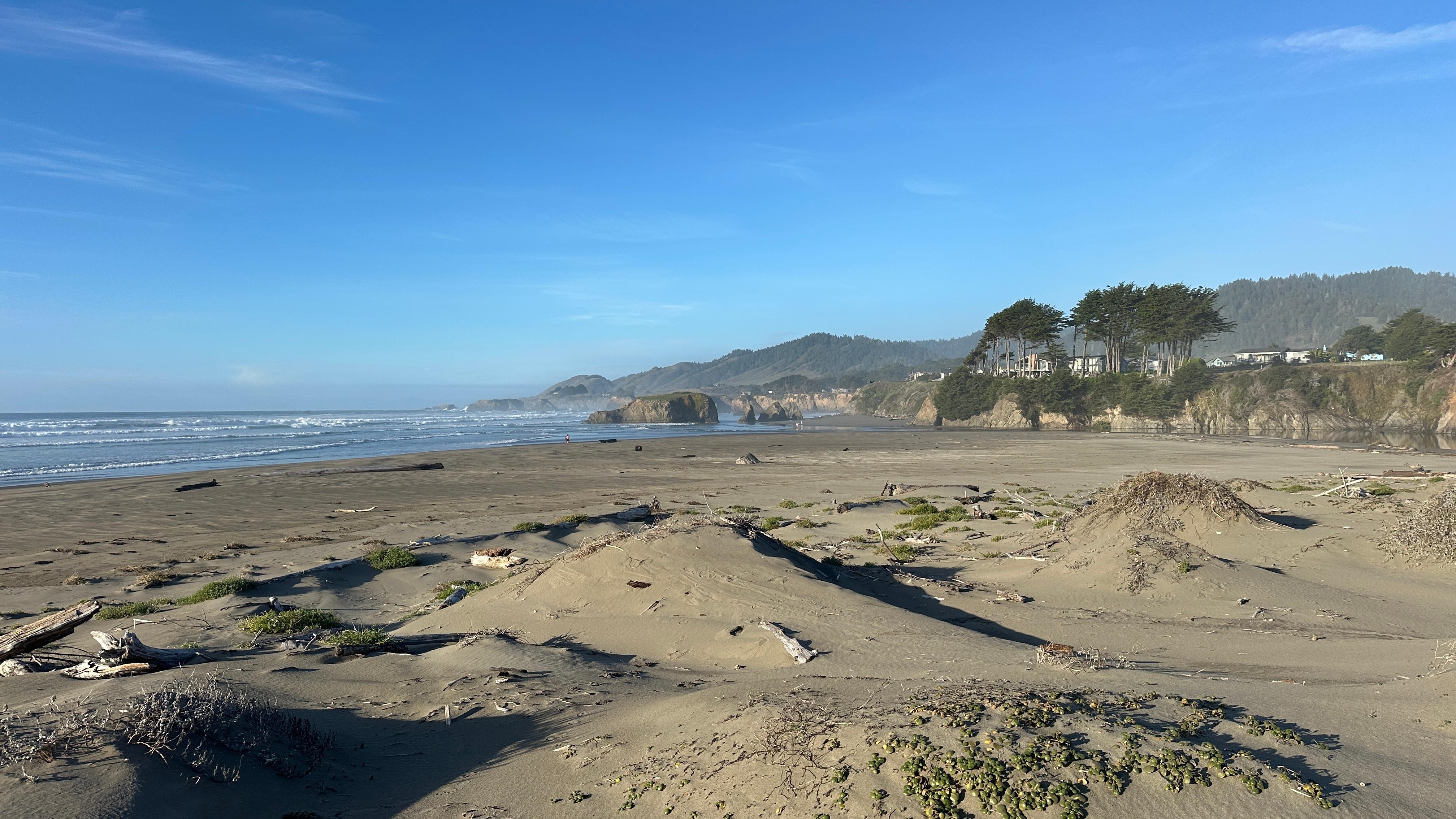 We played with our kids in the dunes for hours! 