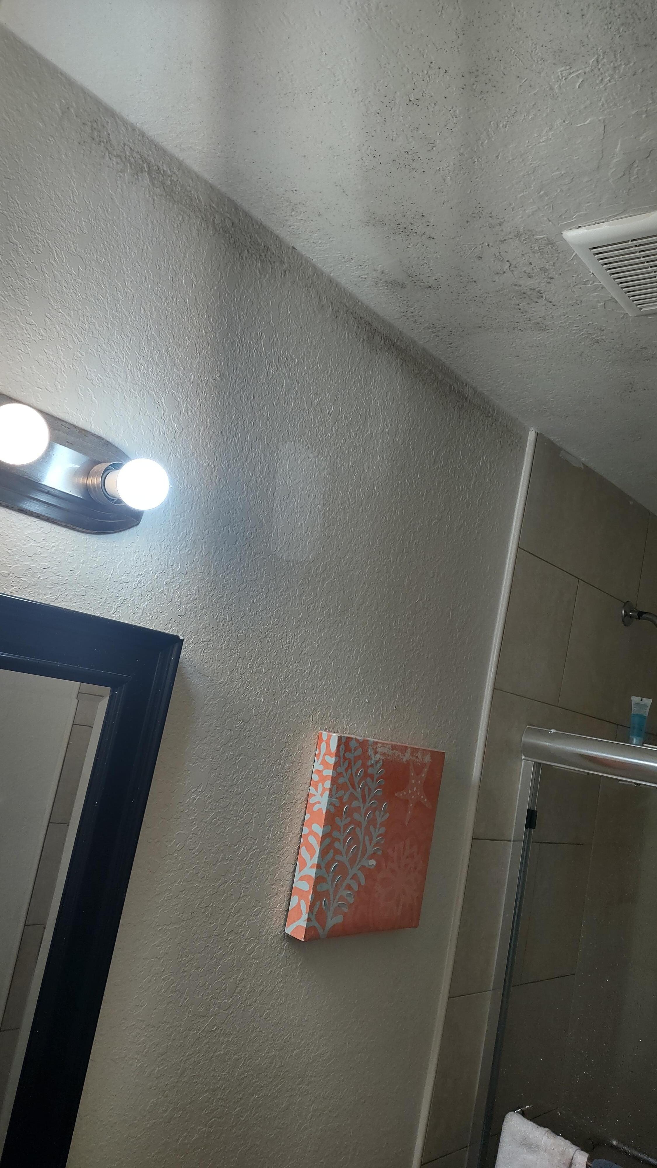 Mold on wall. Looks like someone may have painted over it, too 