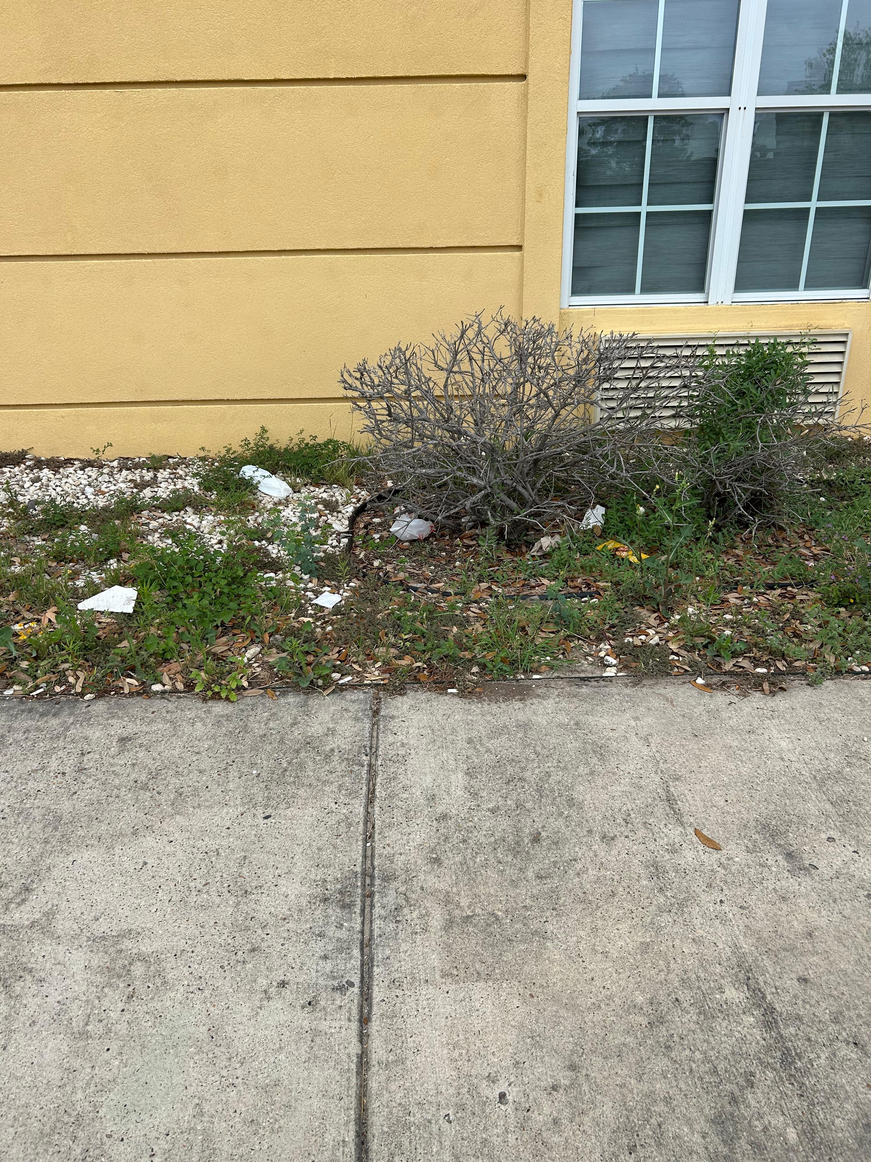 Look at the lovely landscaping…