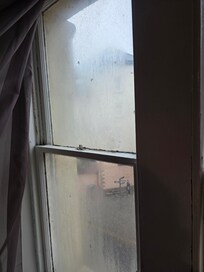 Filthy windows