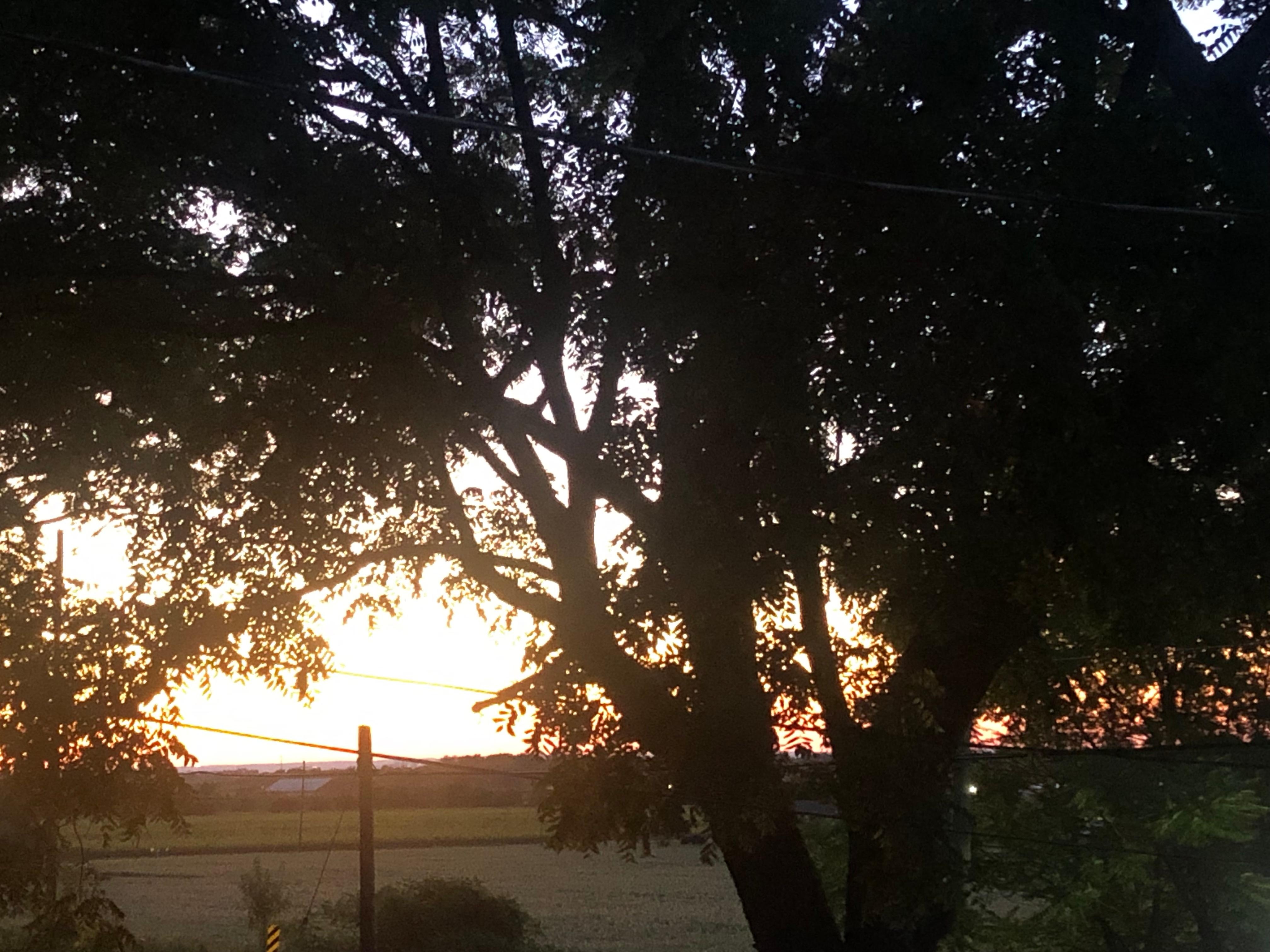 Sunset from front porch.