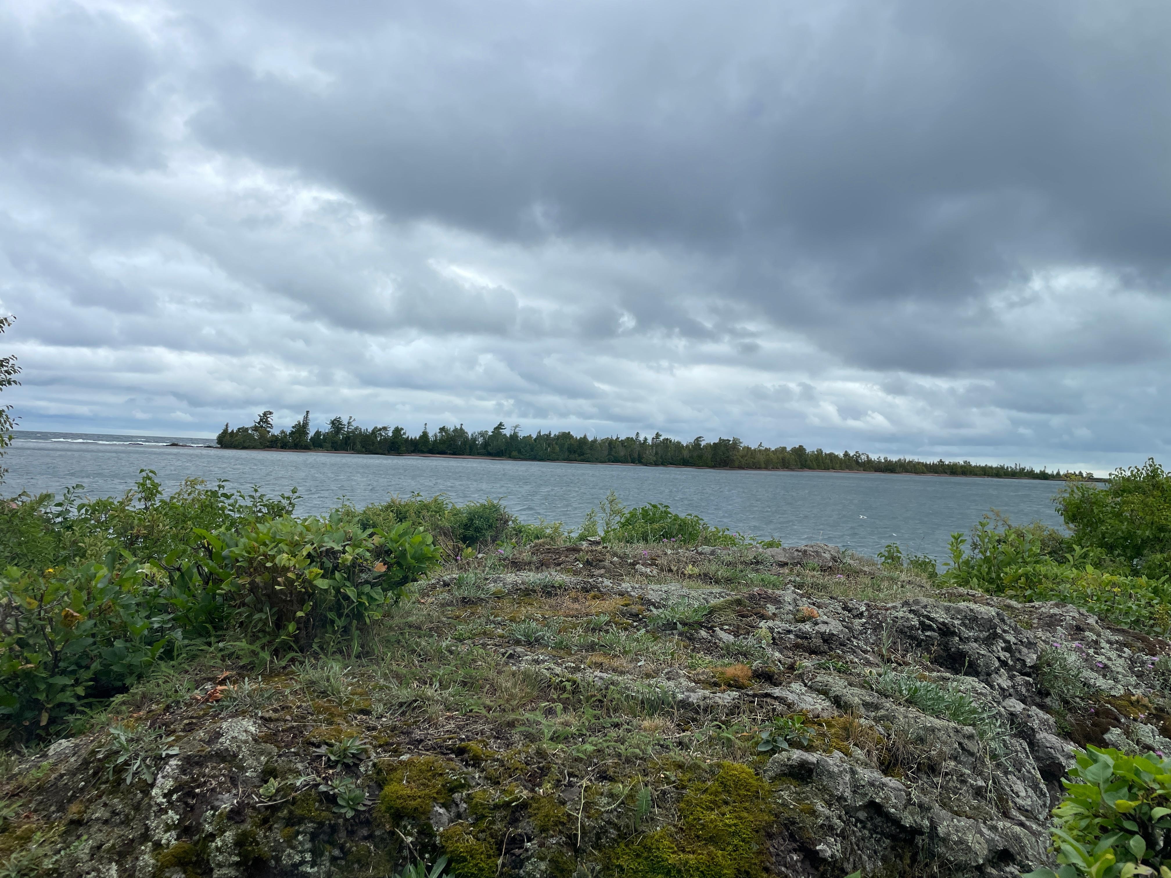 View from the living room window.