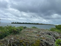View from the living room window.