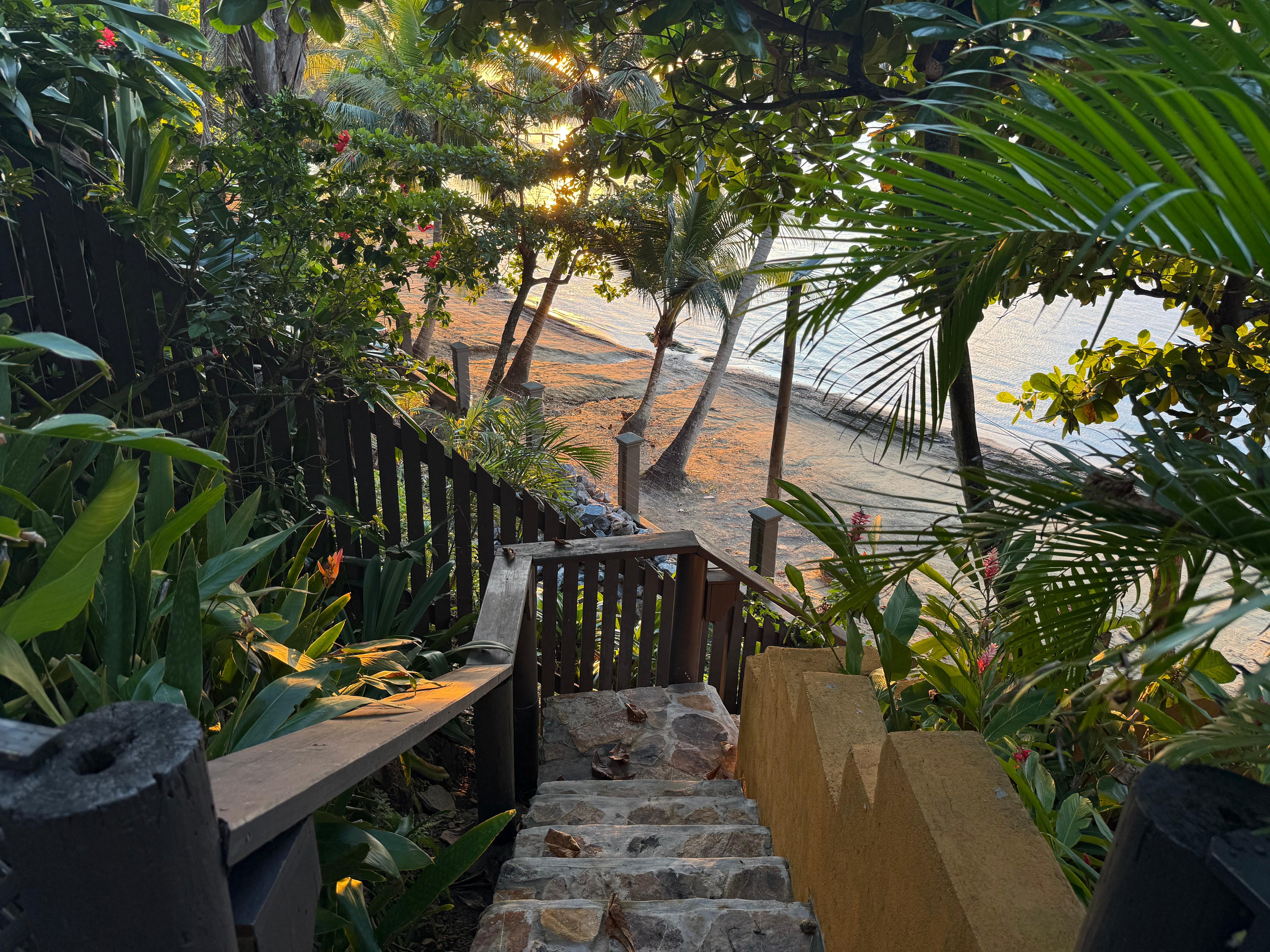 Stairs leading down to the beach. 