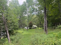 Back of the house