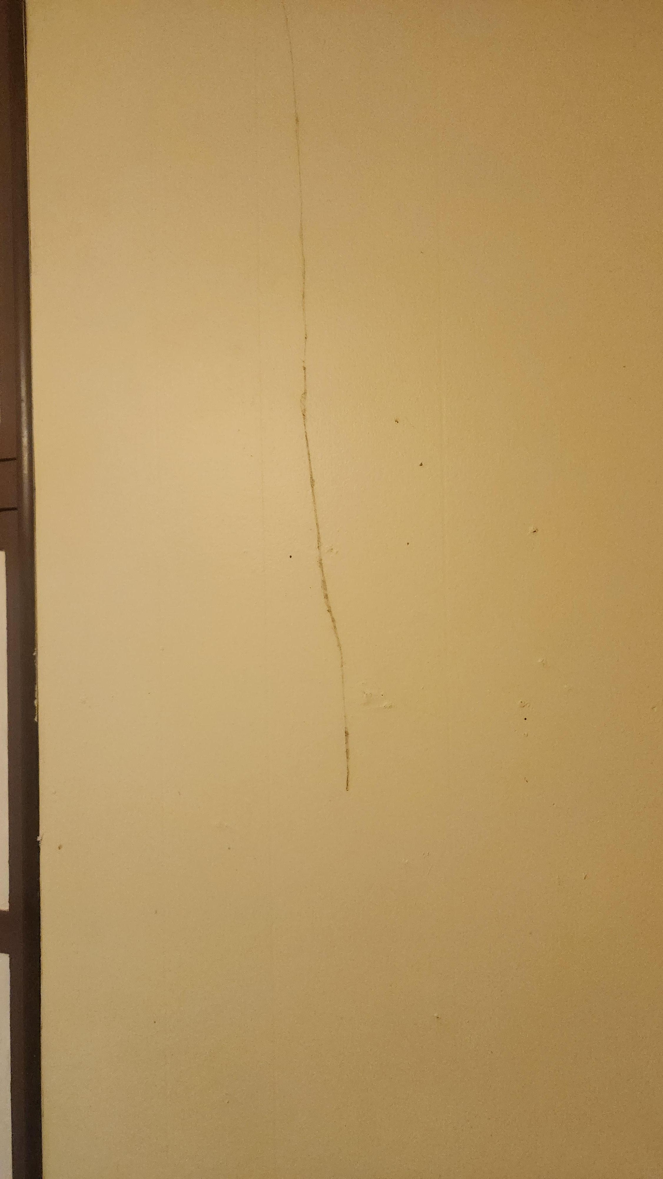 Spider web on wall above stove