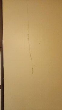 Spider web on wall above stove