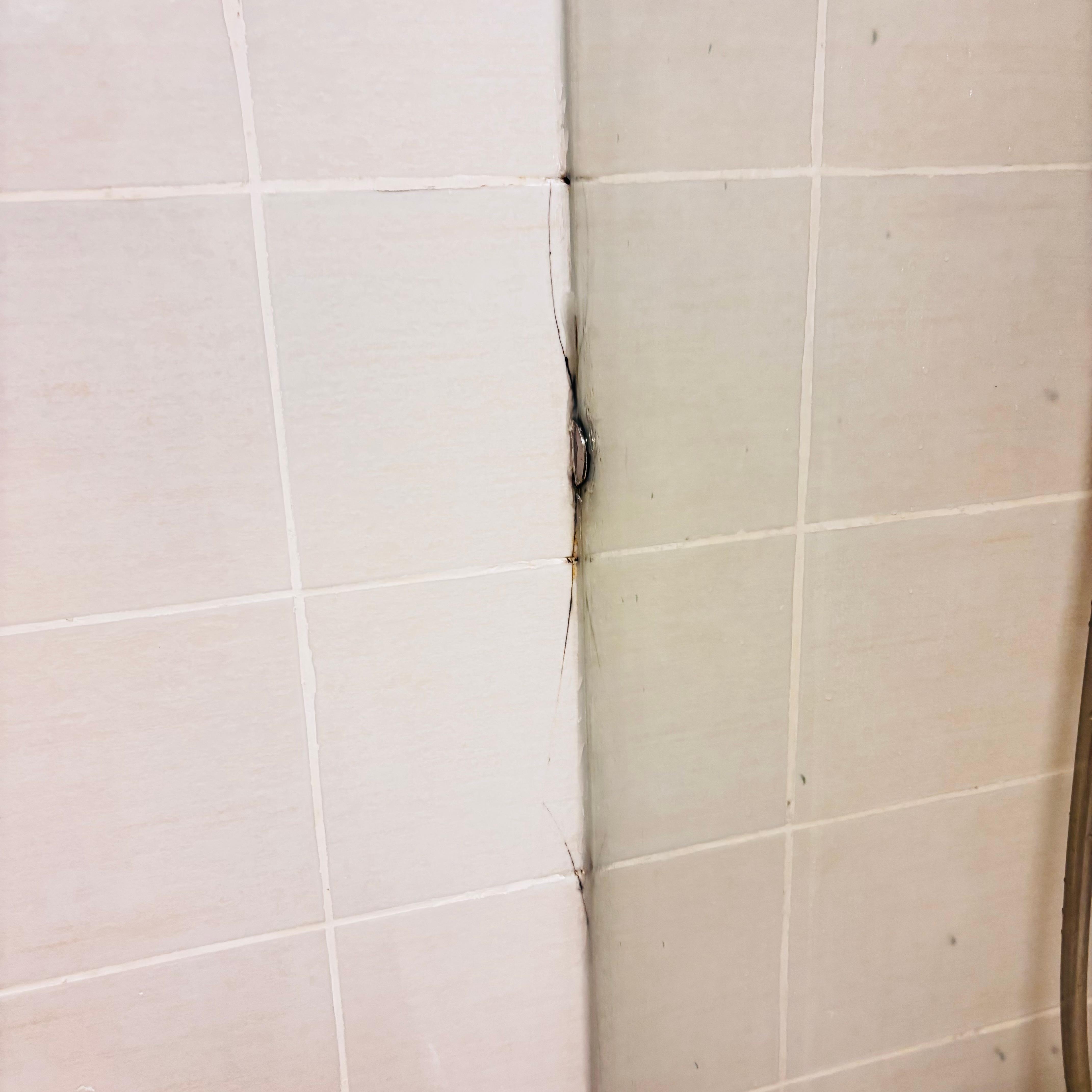 Baños en mal estado