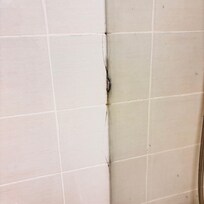 Baños en mal estado