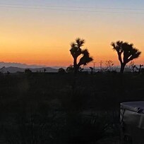 Good morning view from back of house.