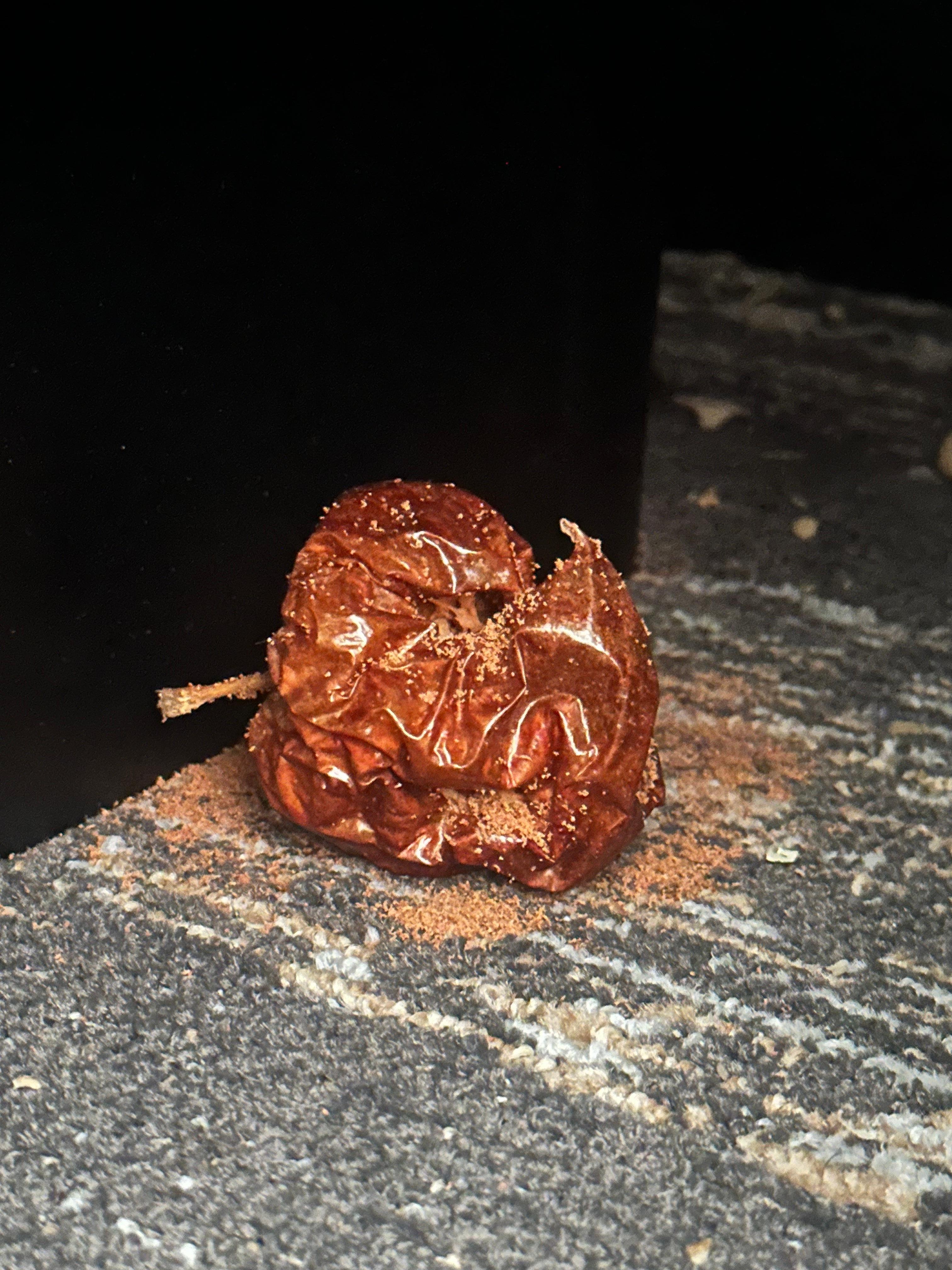 Rotten food under the bed