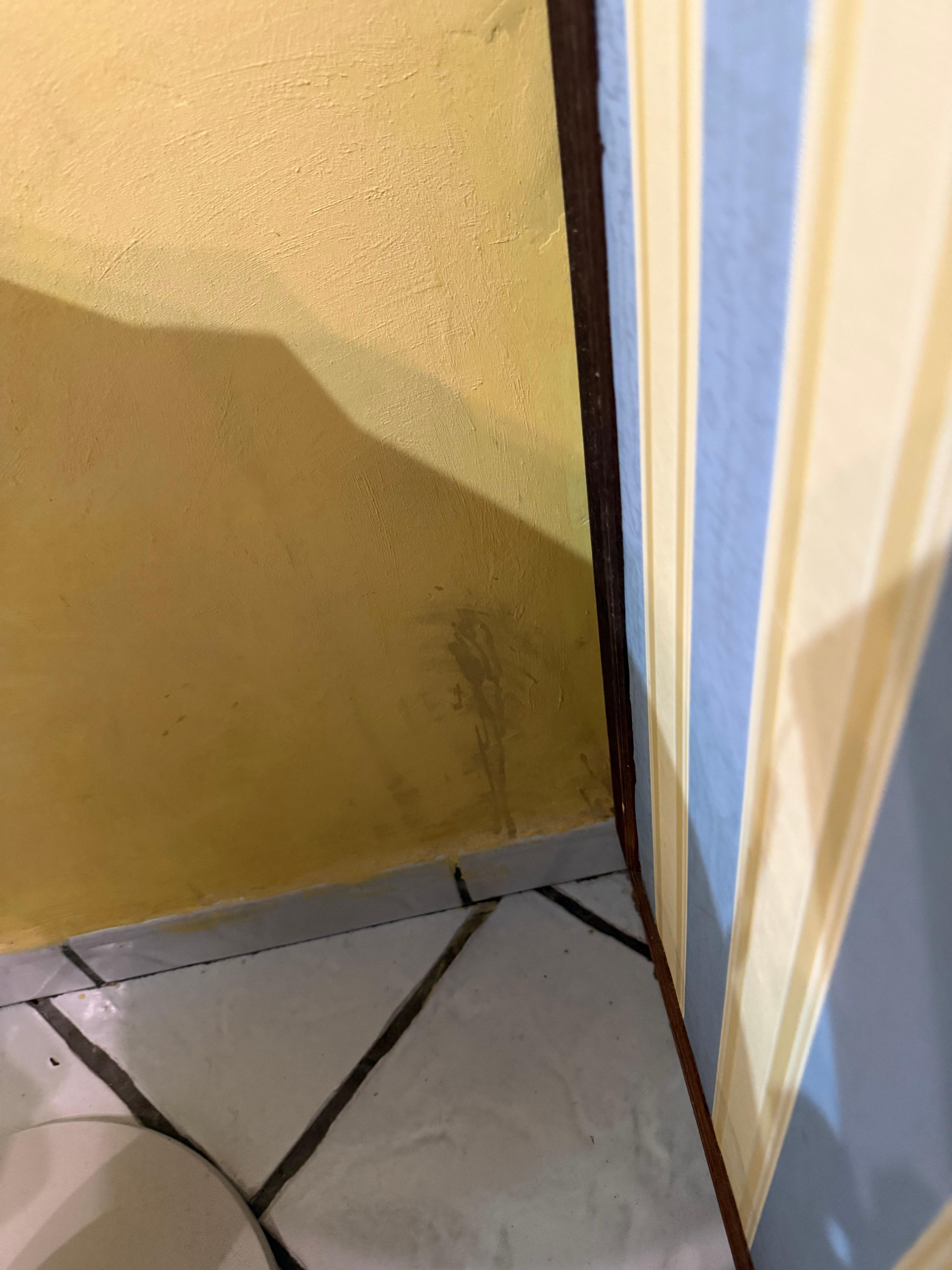 Walls have seen better days.