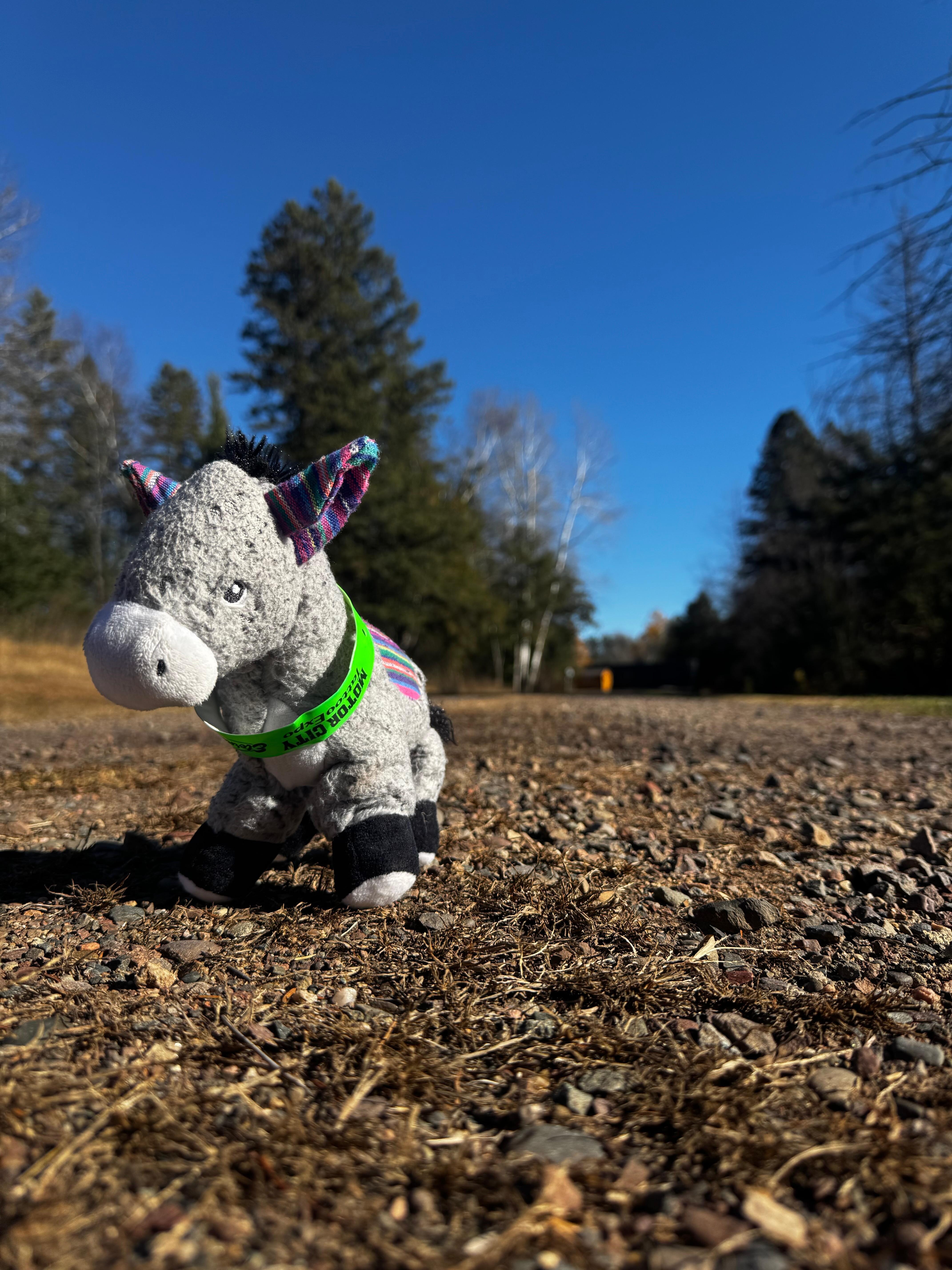 Peering down the driveway! 