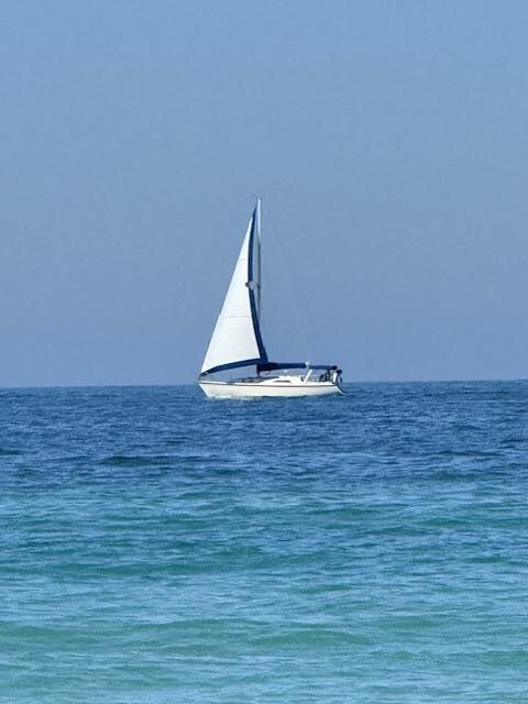 Sail boat floating around