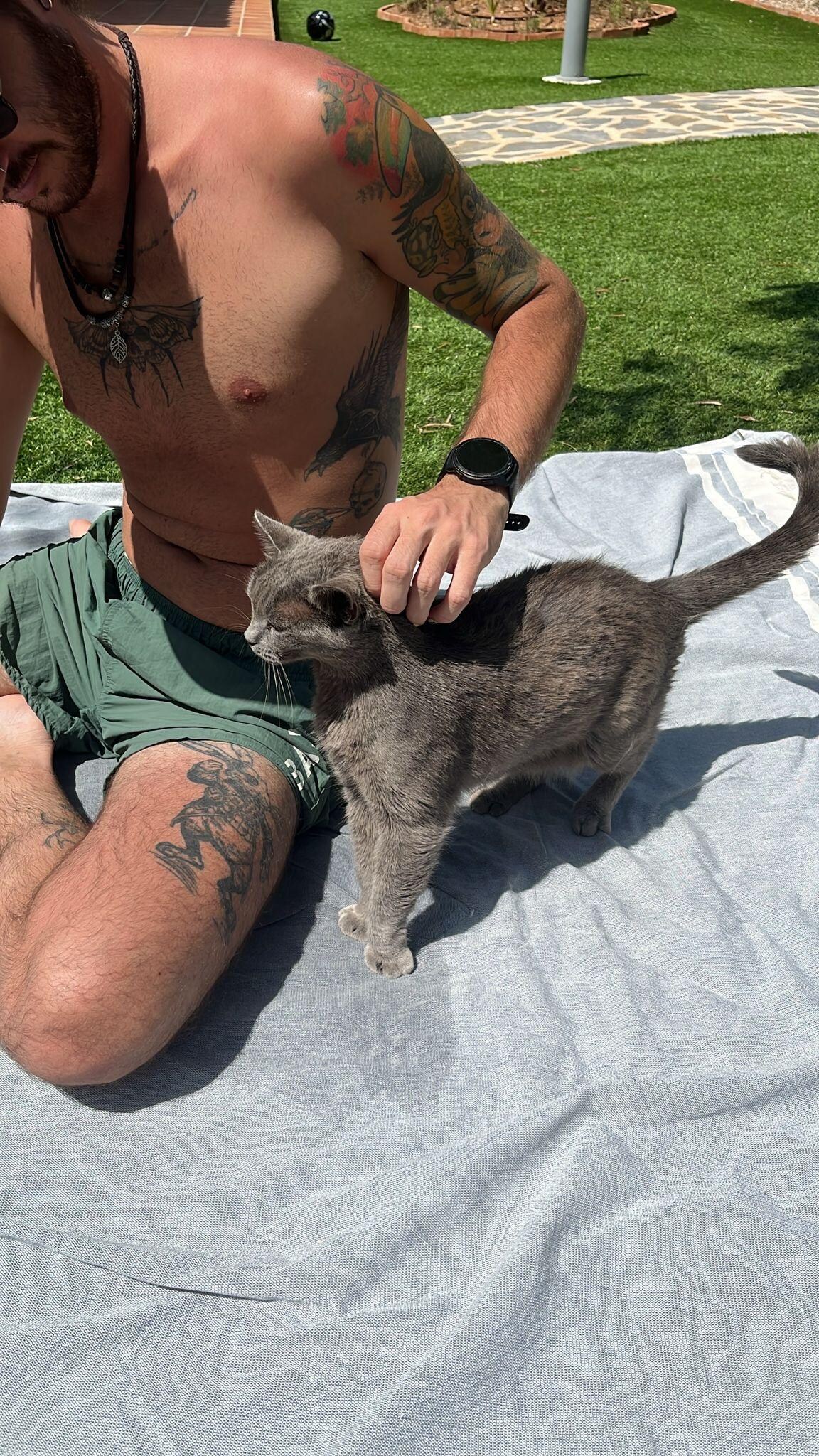 En la piscina se coló un invitado no esperado