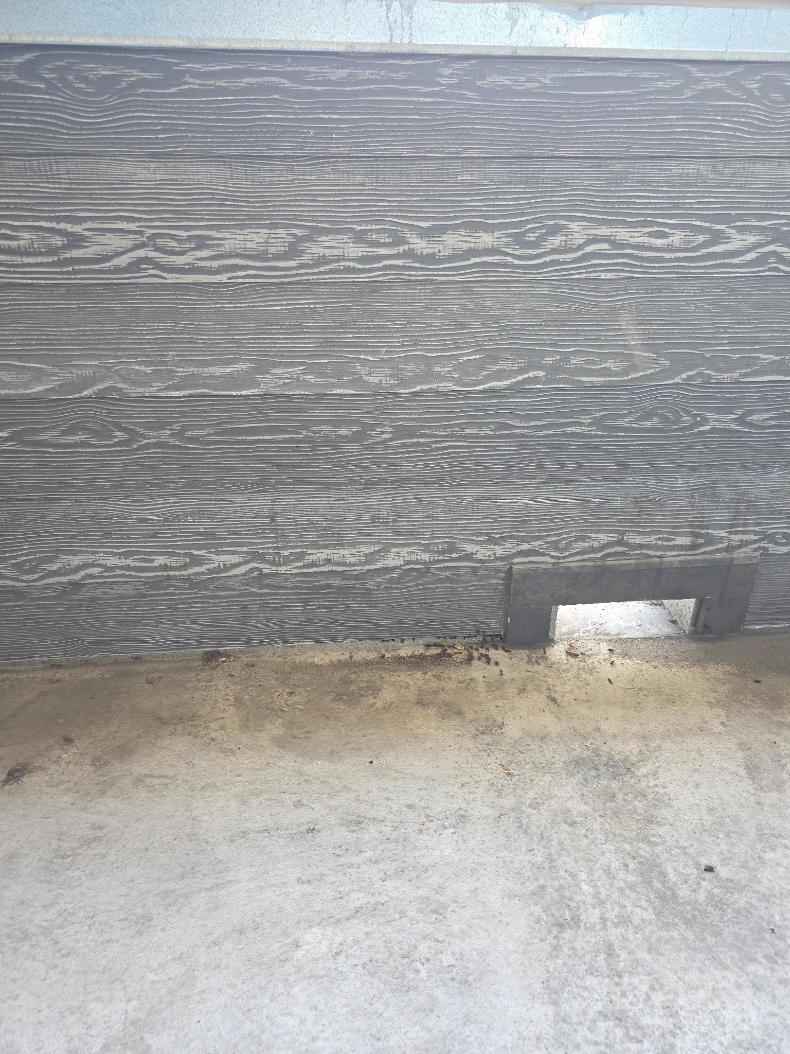 Zoom in to floor for bees nest