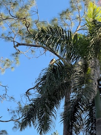 Nature is abundant, don’t forget to look up!