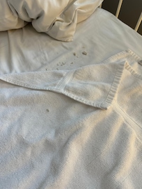 Wet bed and pillows never came to change them out