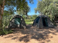 Tents from the camping trip