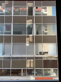The view