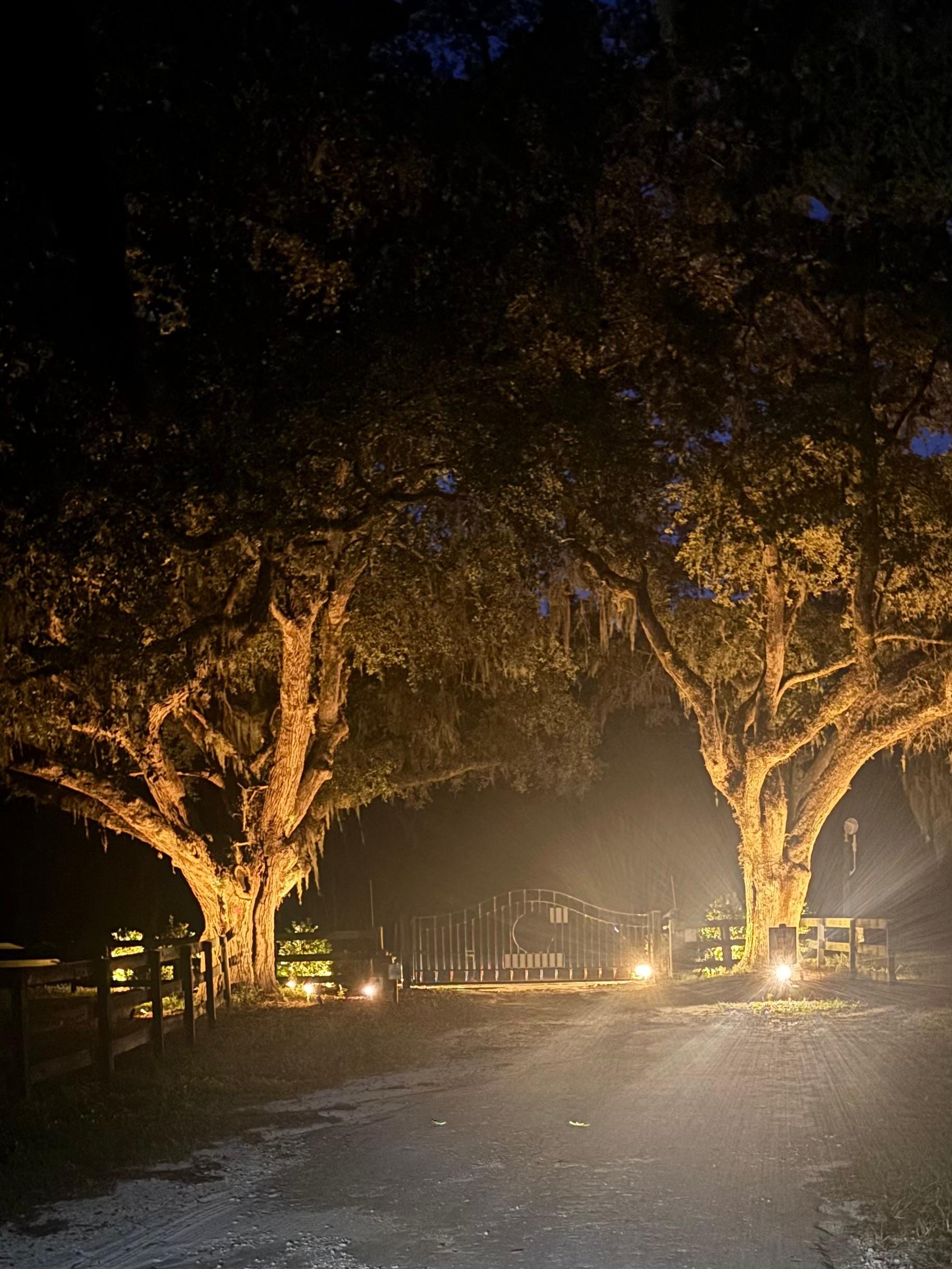 Gates at night