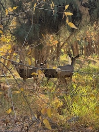 We had a few visitors during our stay