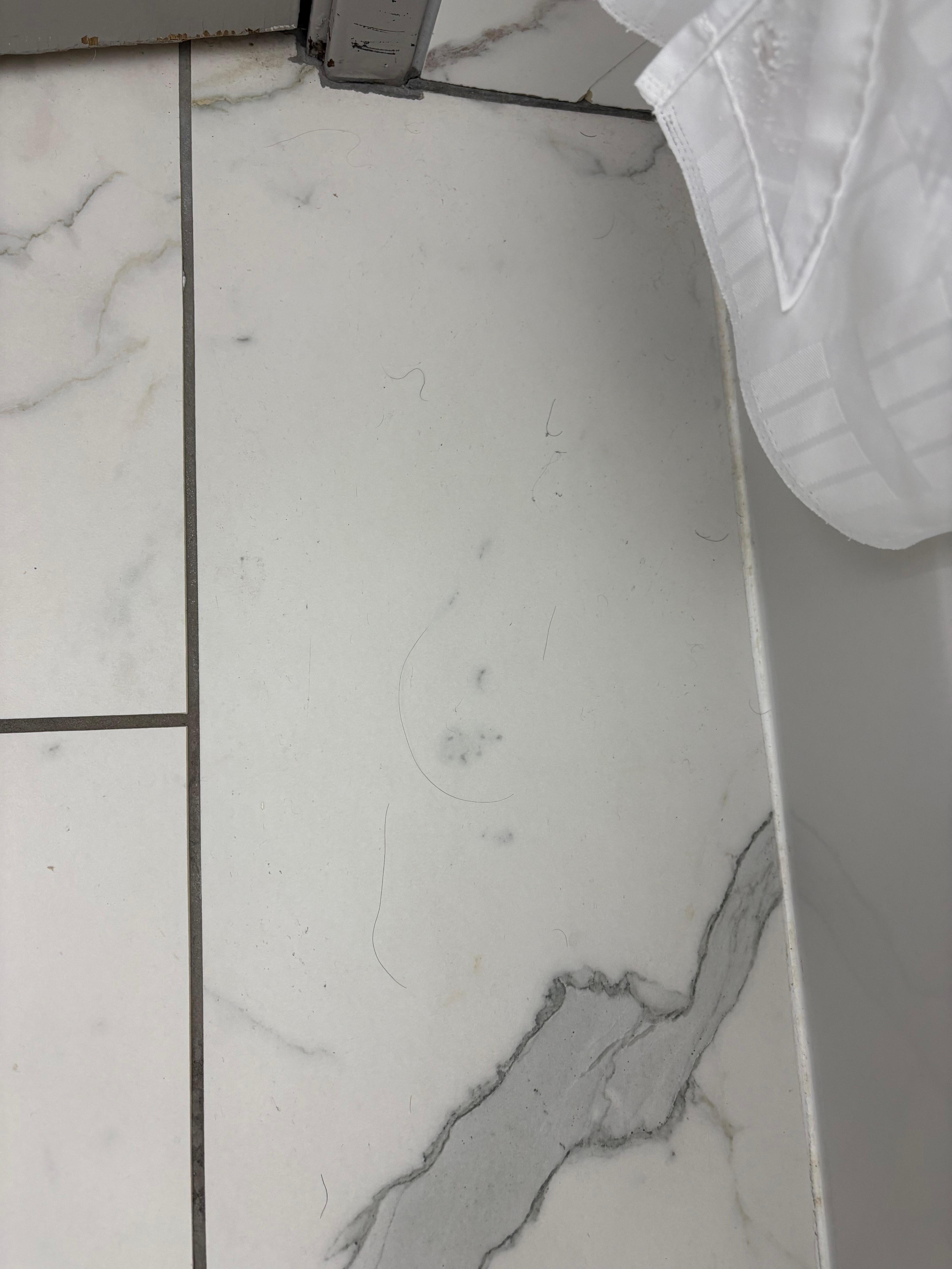 Hair all over bathroom floor at checkin