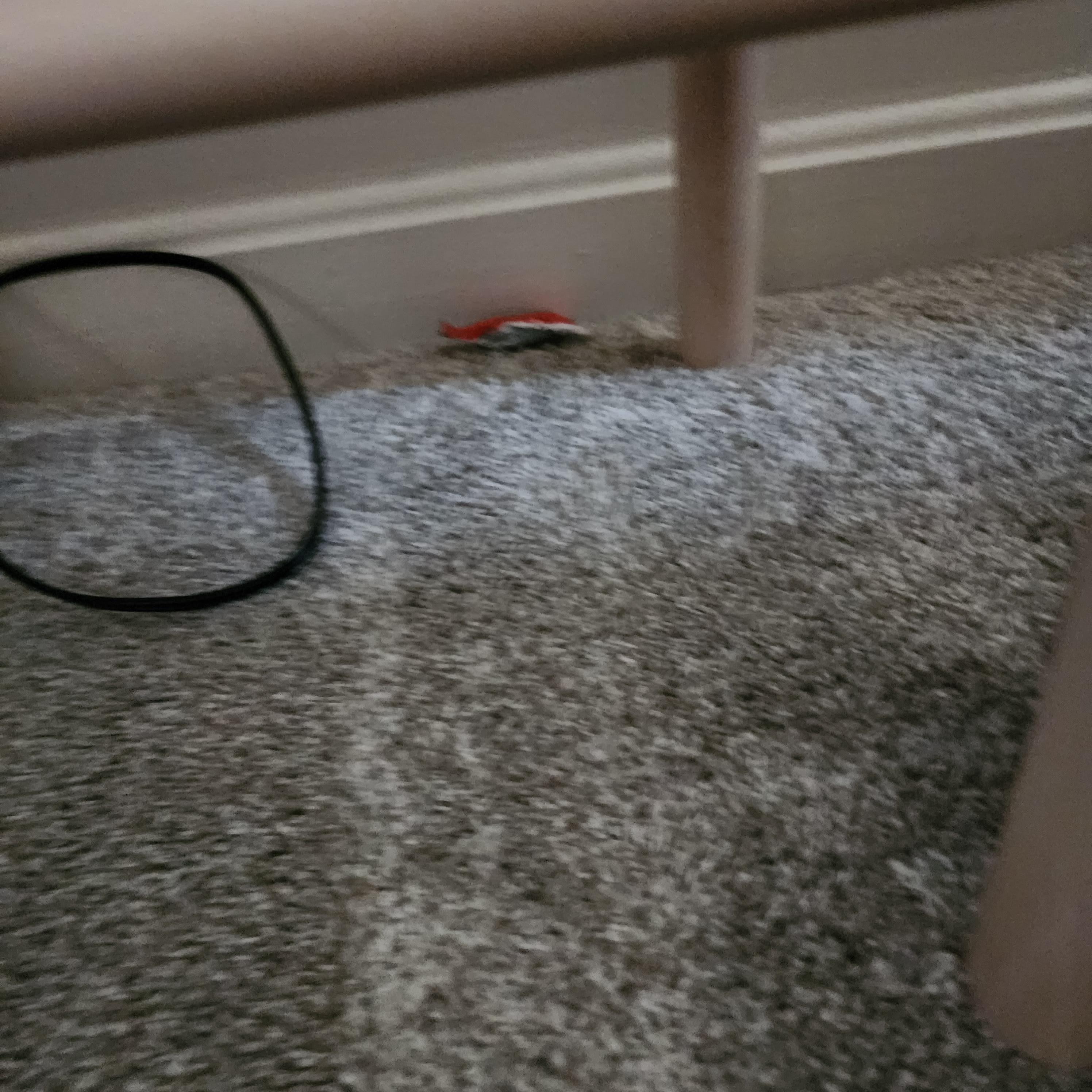 Yet another bed with trash under it