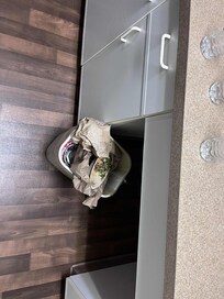Garbage can under the kitchen counter
