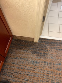 Water leaking on carpet