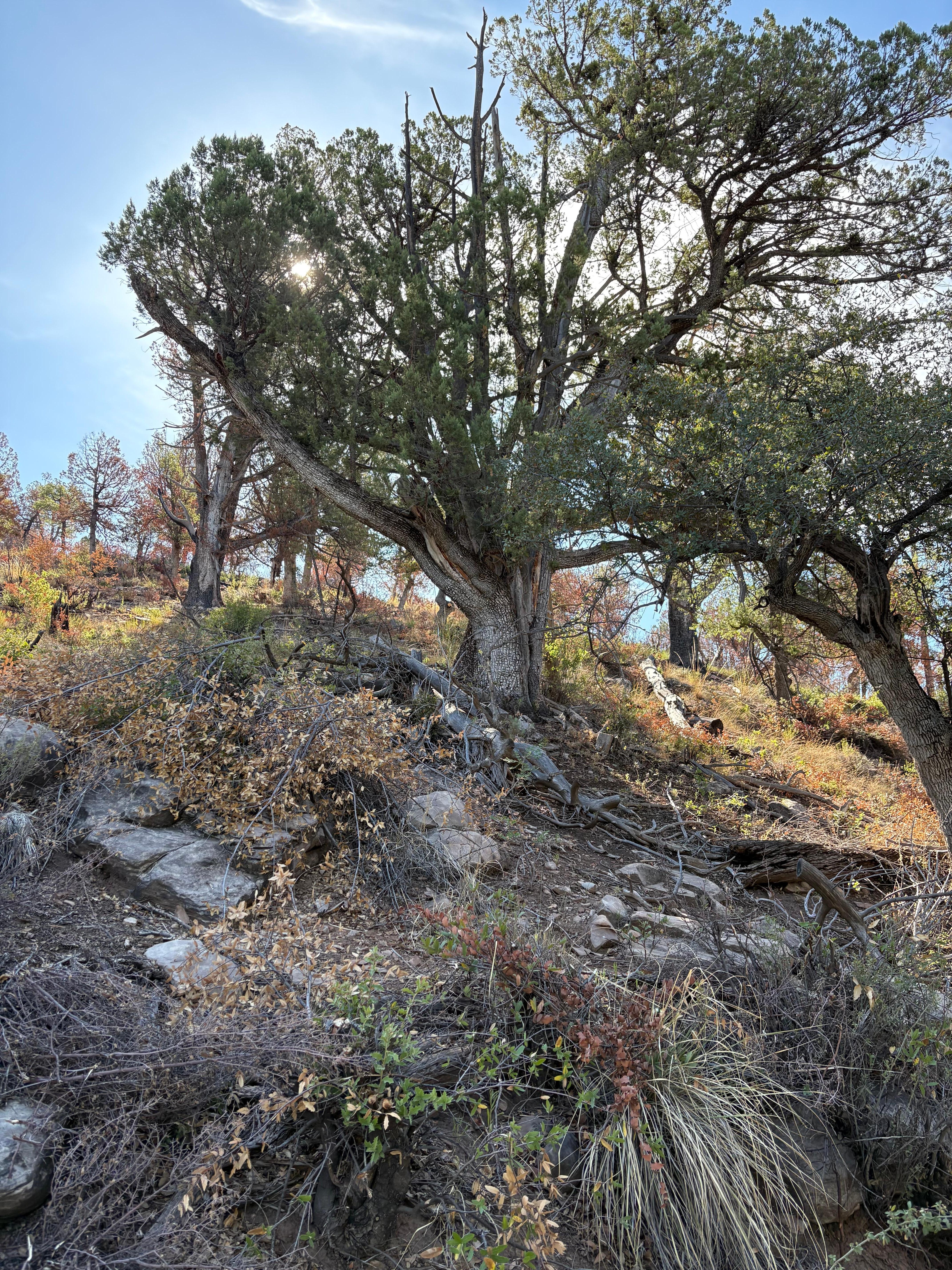Great hiking near by 