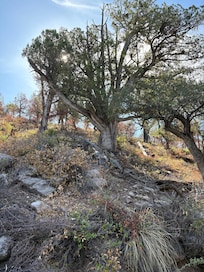 Great hiking near by