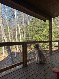 The fenced deck was a source of joy for our dogs