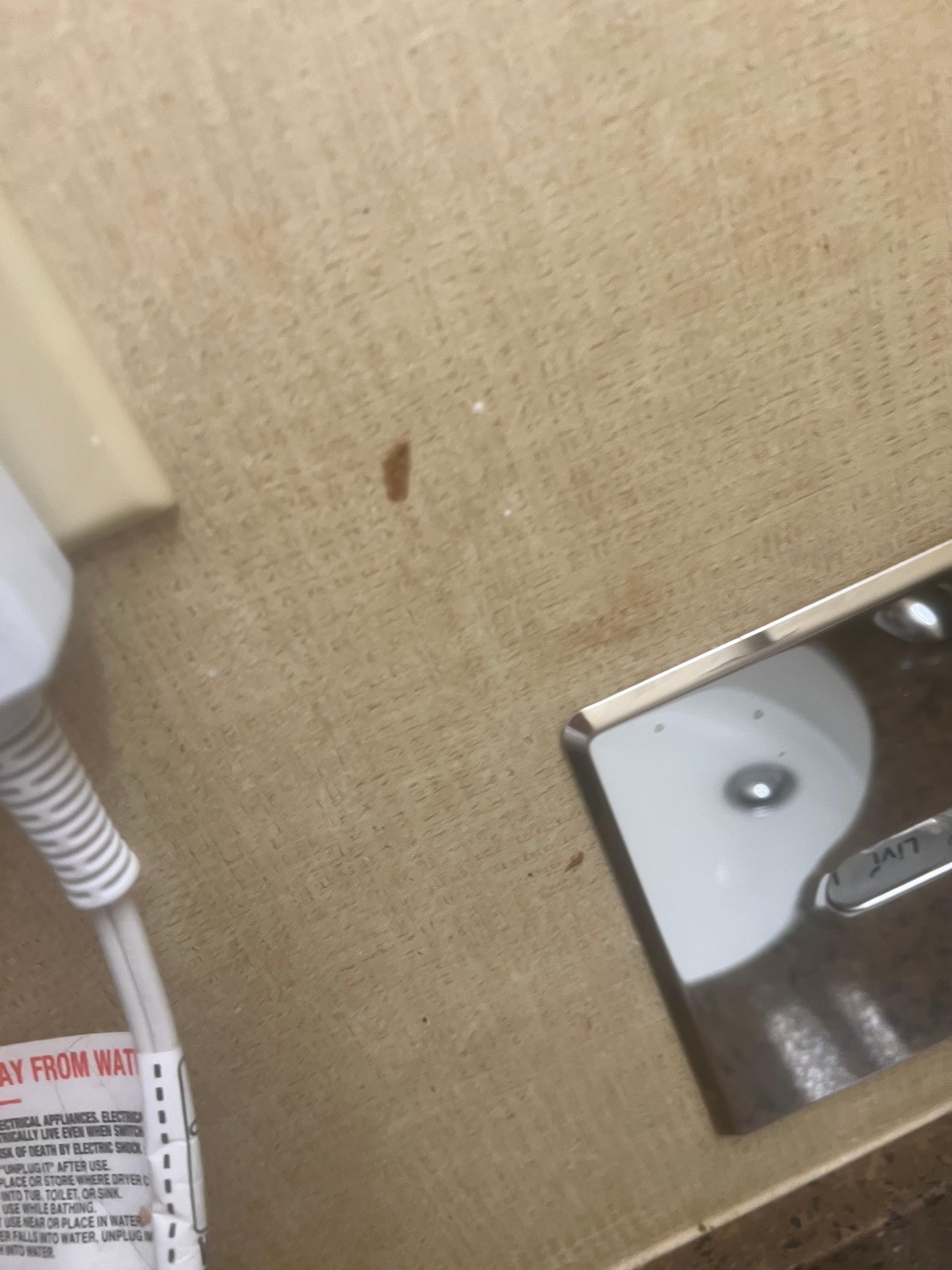 Boogers on the walls 