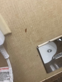 Boogers on the walls