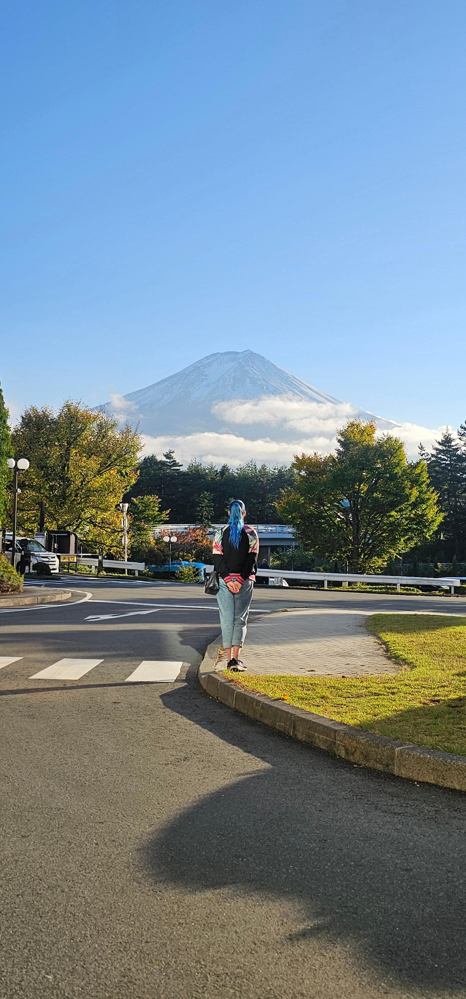 Utsikten sett från entrén.
