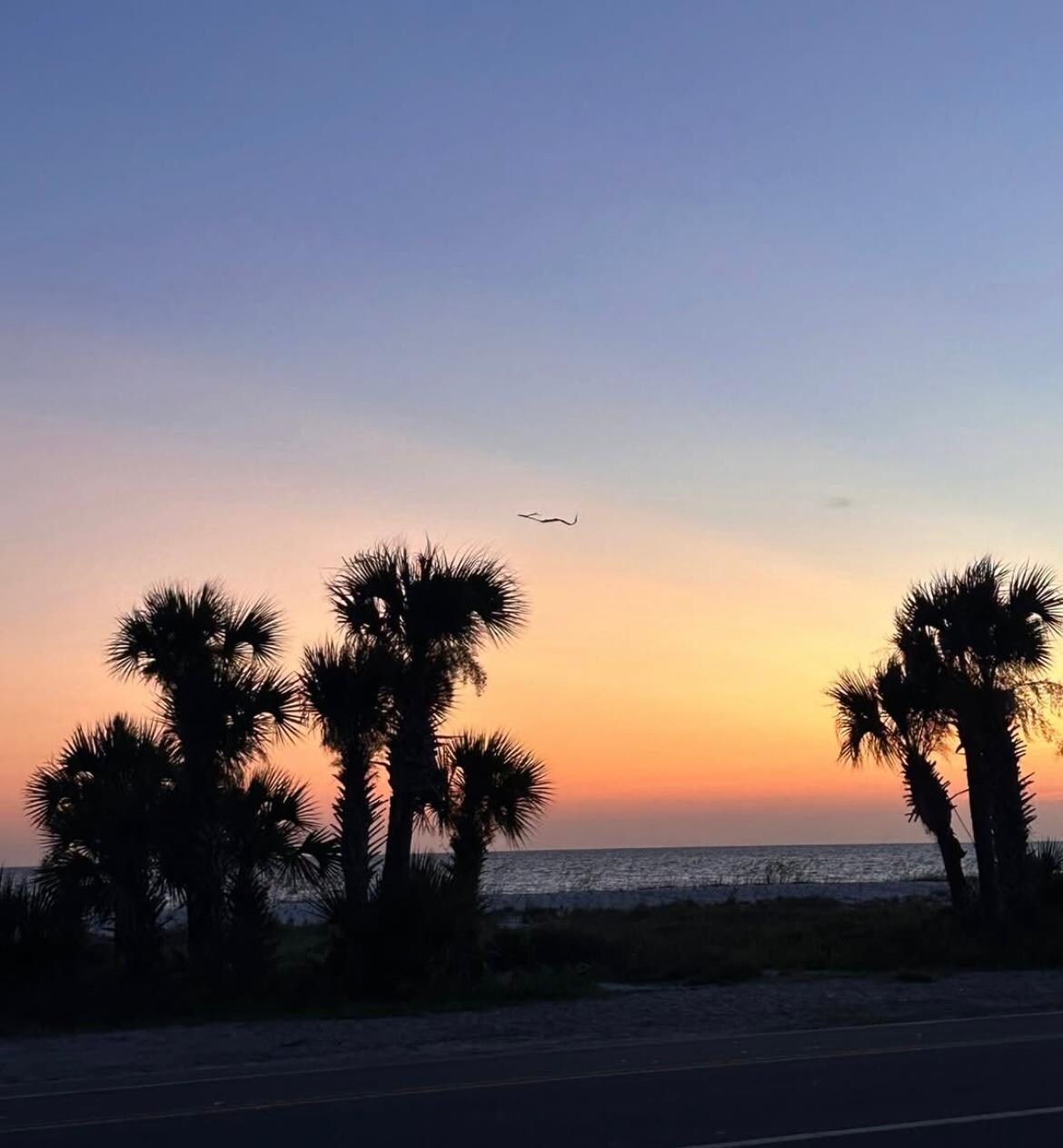 Sunset as we walked out for dinner!