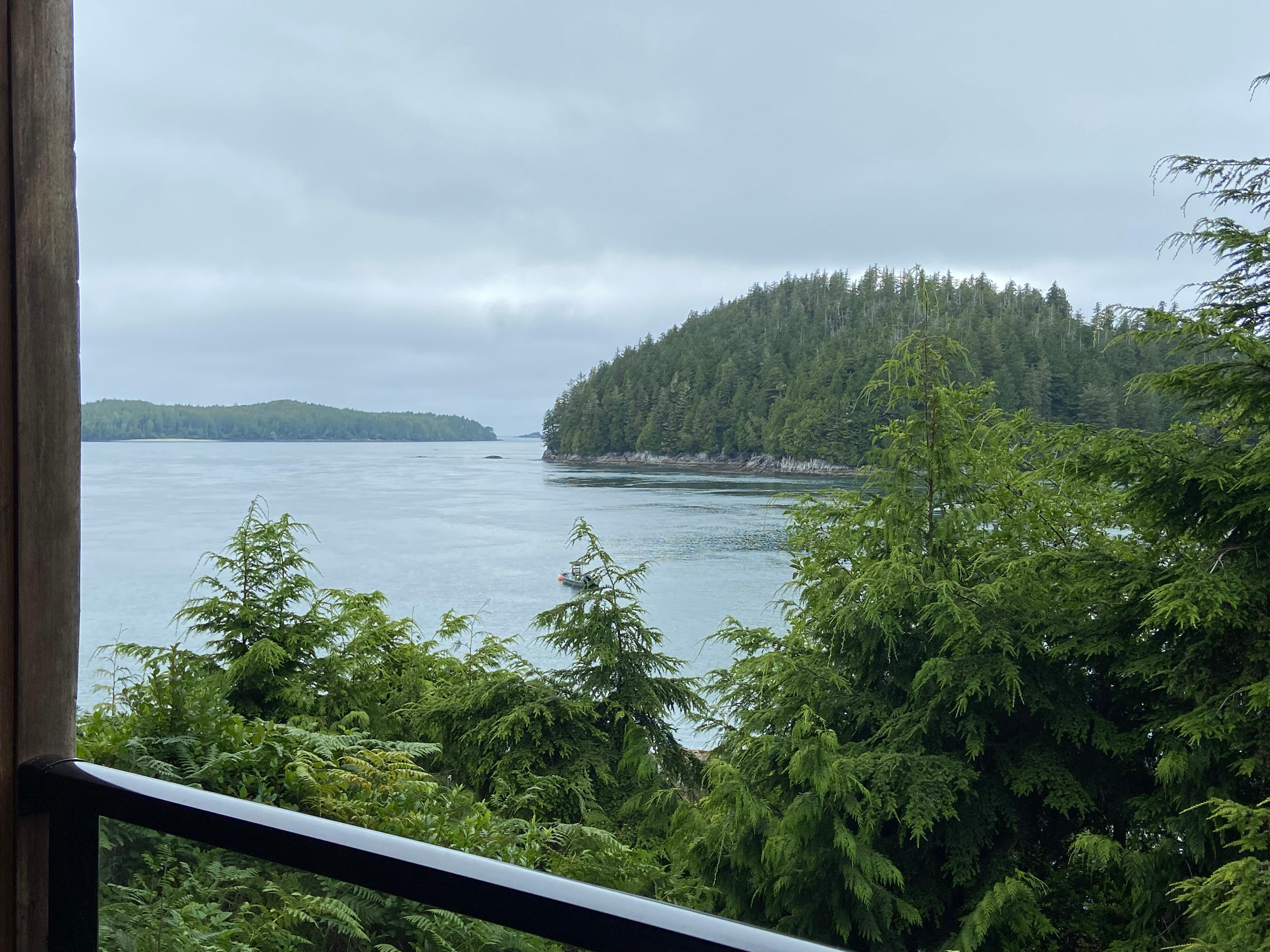 F egg on our balcony beautiful views