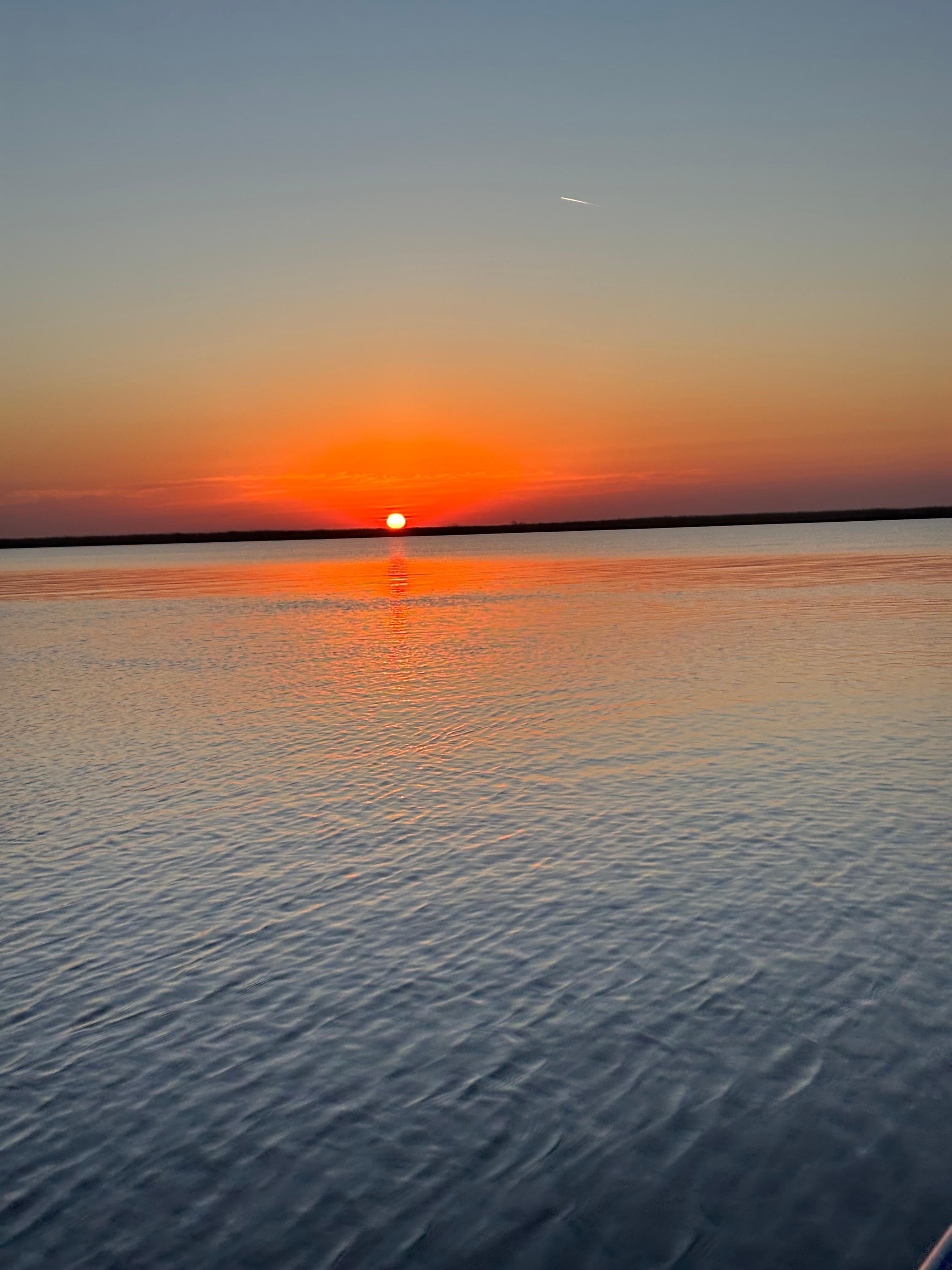 Surrounded by nature at its finest 