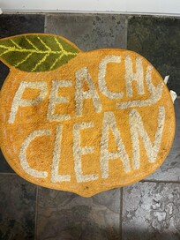 Bath mat in master. It speaks for itself.